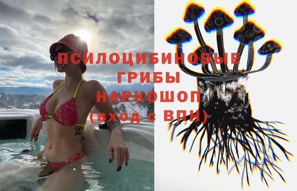 соль ск Нефтекумск