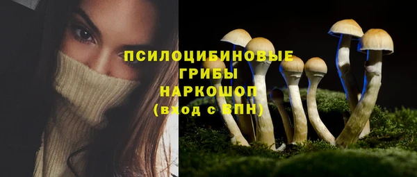 соль ск Нефтекумск