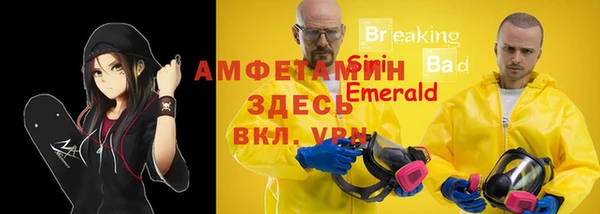 ешки Новозыбков