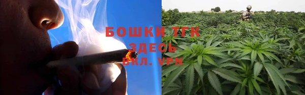 прущая мука Нея