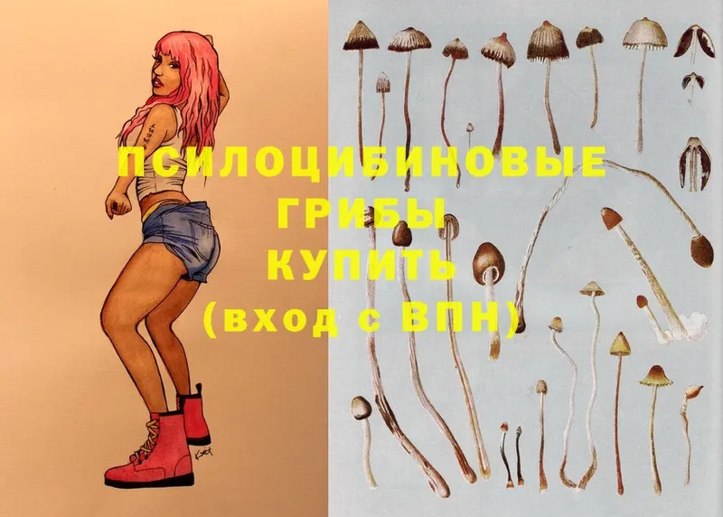 Псилоцибиновые грибы Magic Shrooms  где купить наркотик  Кадников 