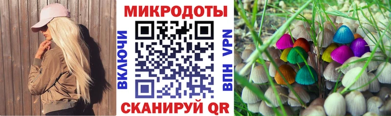 Псилоцибиновые грибы прущие грибы  Кадников 