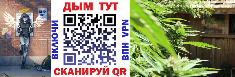 Шишки марихуана VHQ Кадников